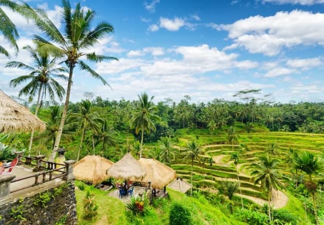 Bali Honeymoon Couple Package